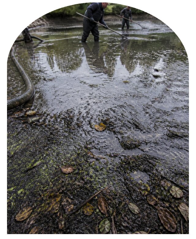 Очистка пруда в Рославле от ила мусора и водорослей с вывозом